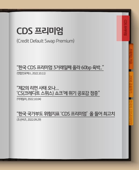 뉴스 기사, cds프리미엄이란 무엇일까?